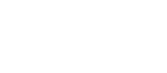 Zoggs
